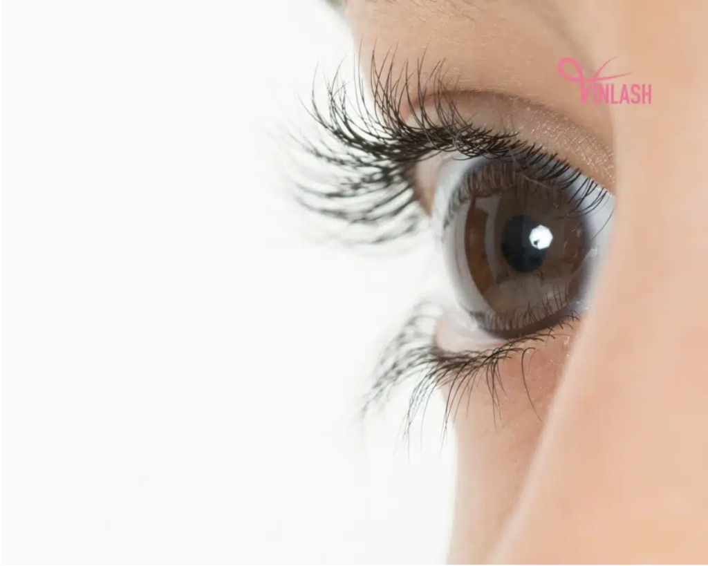 Guide To Purchasing The Best Eyelash Extension Wholesale