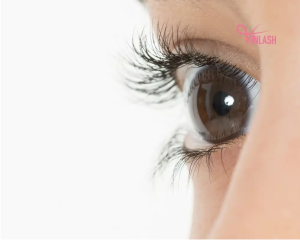 Read more about the article Guide To Purchasing The Best Eyelash Extension Wholesale